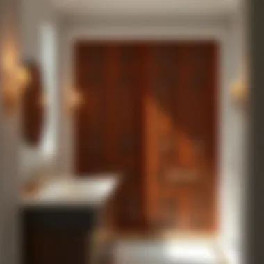 Magnificent Bathroom Closet Doors: An In-Depth Examination Magnificent Bathroom Closet Doors: An In-Depth Examination