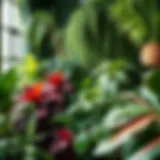 Lush Indoor Garden A lush indoor garden showcasing a variety of plants in vibrant hues