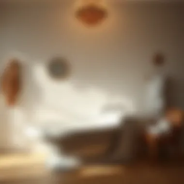 Safety Features of ADA Walk-In Bathtubs Illustration showcasing safety features of an ADA walk-in bathtub