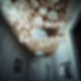 Mold growth on a bathroom ceiling