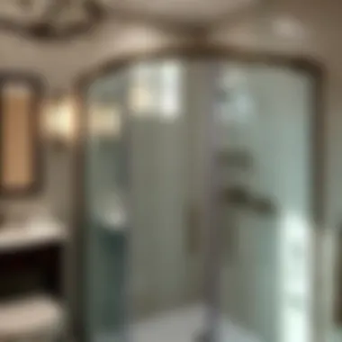 Successful Installation of a Glass Shower Door Successful installation of a glass shower door