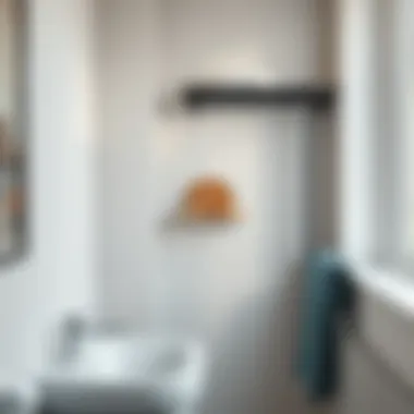 Multi-functional grab bar with integrated shelf in a stylish setting