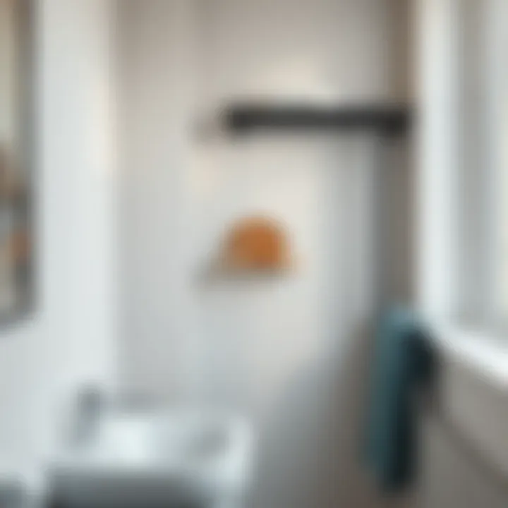 Multi-functional grab bar with integrated shelf in a stylish setting