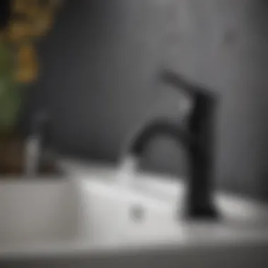 Close-up of black faucet showcasing material texture