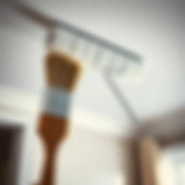 Tools for Applying Bathroom Ceiling Paint Brush and roller with bathroom ceiling paint