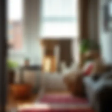 A compact collapsible drying rack demonstrated in a small apartment setting