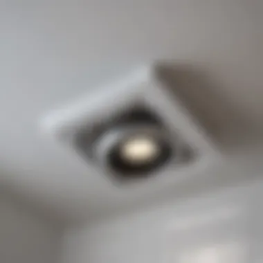 Bathroom exhaust fan with integrated light