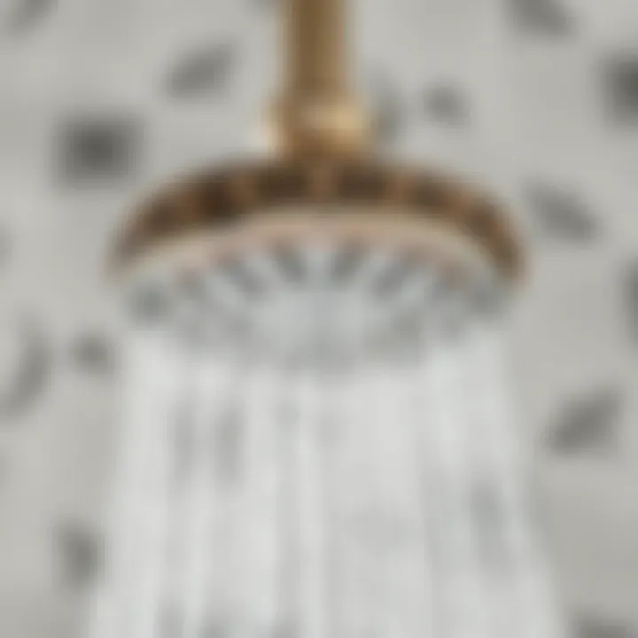 Stylish showerhead featuring classic Victorian design elements