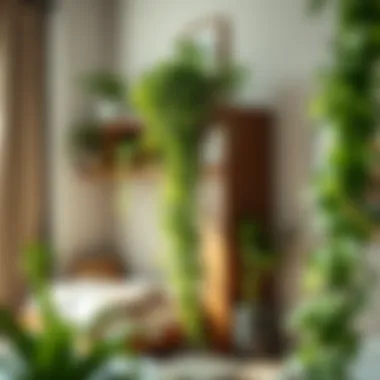 Cascading Greenery in a Stylish Bedroom Close-up of lush greenery cascading from shelves in a stylish bedroom