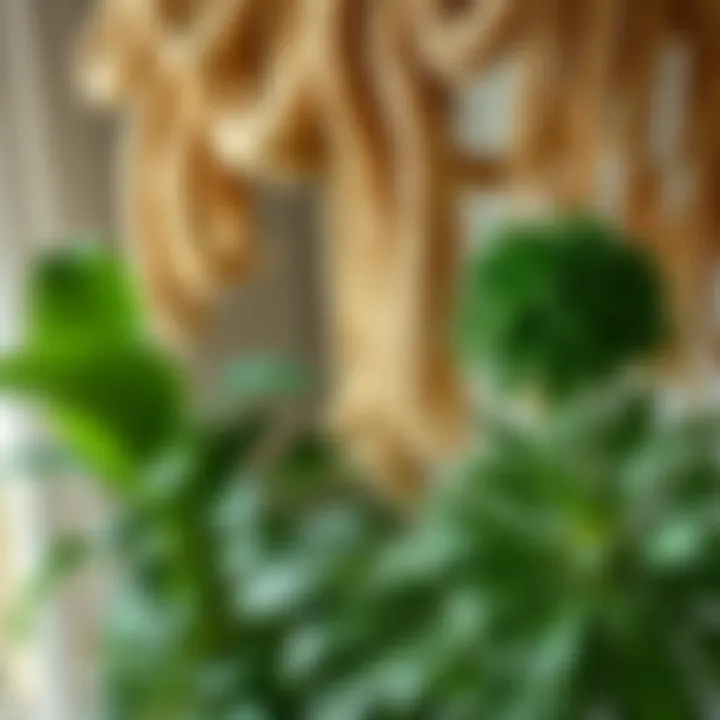 Variety of Indoor Plants for Draping Variety of indoor plants suited for draping, showcasing different textures