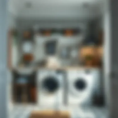 Efficient layout of a compact laundry space