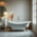 Elegant refinished bathtub in a modern bathroom setting