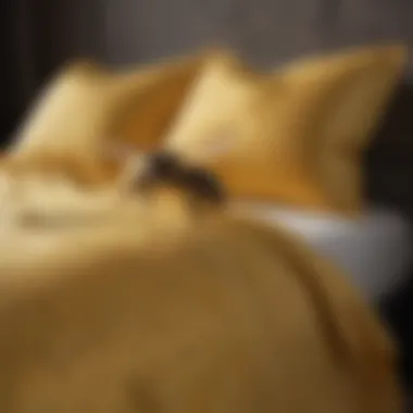 Soft textiles in bee colors creating a tranquil ambiance