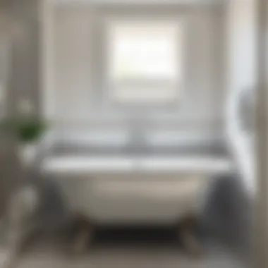 A modern bathroom featuring a beautifully restored clawfoot bathtub