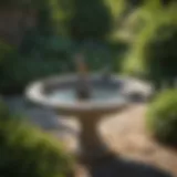 Elegant stone bird bath in a lush garden