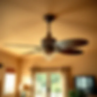Stylish Ceiling Fan in Cozy Bedroom Cozy bedroom featuring a stylish ceiling fan