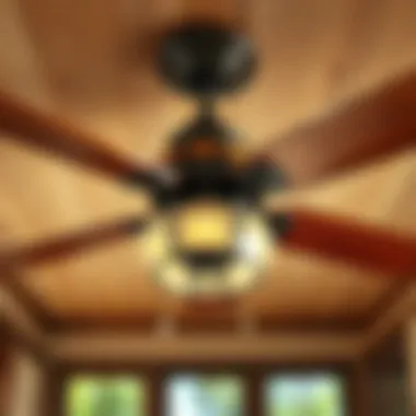 Energy-Efficient Rustic Ceiling Fan Design Energy-efficient rustic ceiling fan design