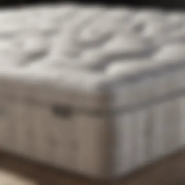 Compact mattress showcasing innovative design