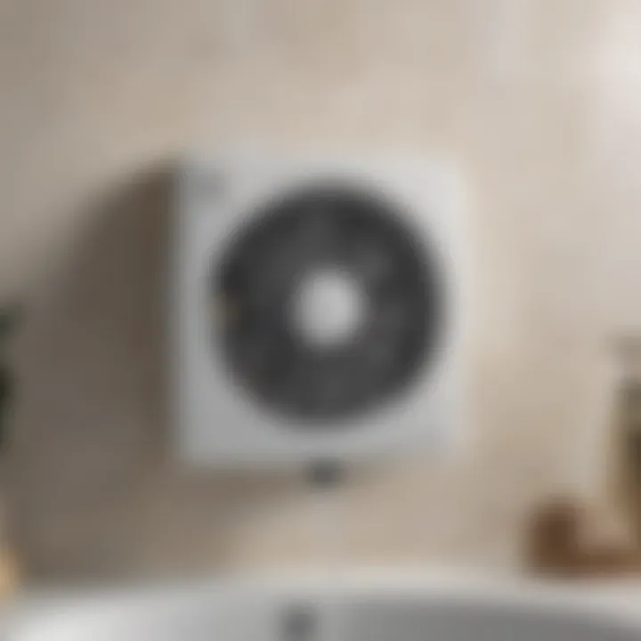 Infographic detailing the types of bath exhaust fans available