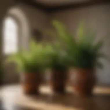 An indoor setting showcasing various types of ferns in decorative pots