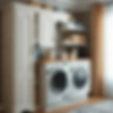 Multifunctional Furniture for Laundry Storage Multifunctional furniture that doubles as laundry storage