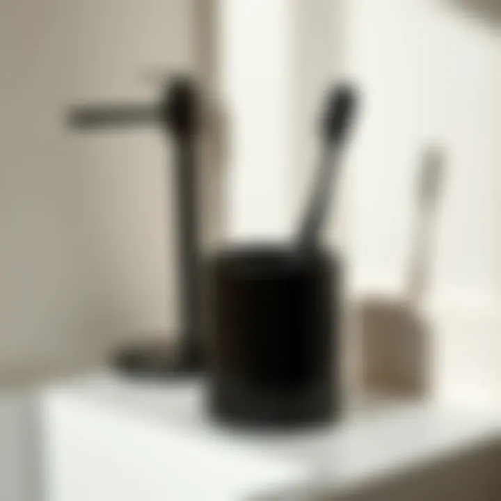 Refined Toothbrush Holder for Elegant Organization Minimalist Kassatex Ducale black toothbrush holder