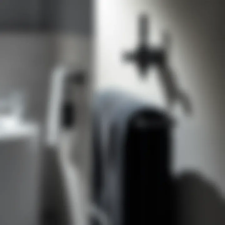 Chic Towel Holder Enhancing Bathroom Aesthetics Stylish Kassatex Ducale black towel holder