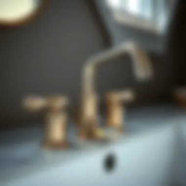 Close-up of the Kohler faucet highlighting its unique features