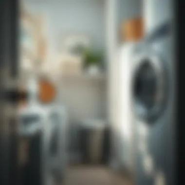 Efficient Organization in Laundry Space Organized laundry area with trash can