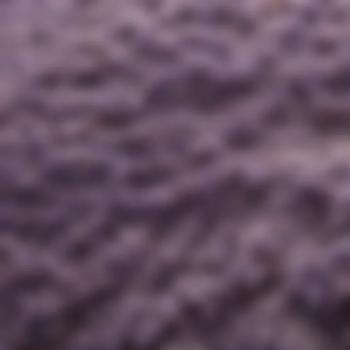 Close-up of soft lavender rug texture