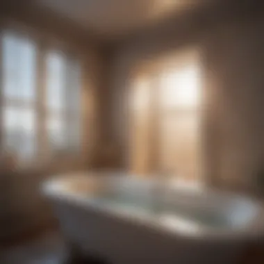 Visual representation of bathtub leak sources