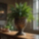 Lush indoor plant arrangement in a Colorado home, showcasing various species.