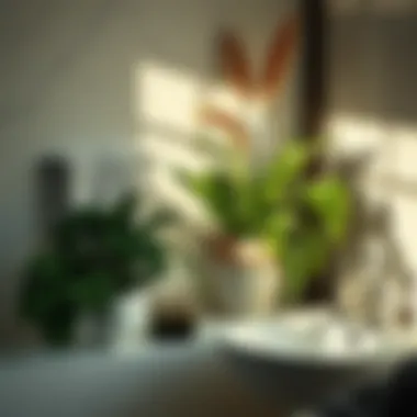 Elegant Plant Arrangement Elegant plant arrangement enhancing bathroom decor