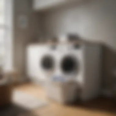 Organized laundry space featuring a functional laundry basket with a washable liner