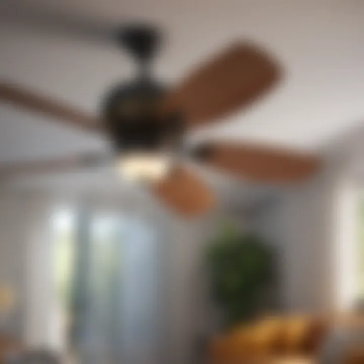 Noise levels of different ceiling fans