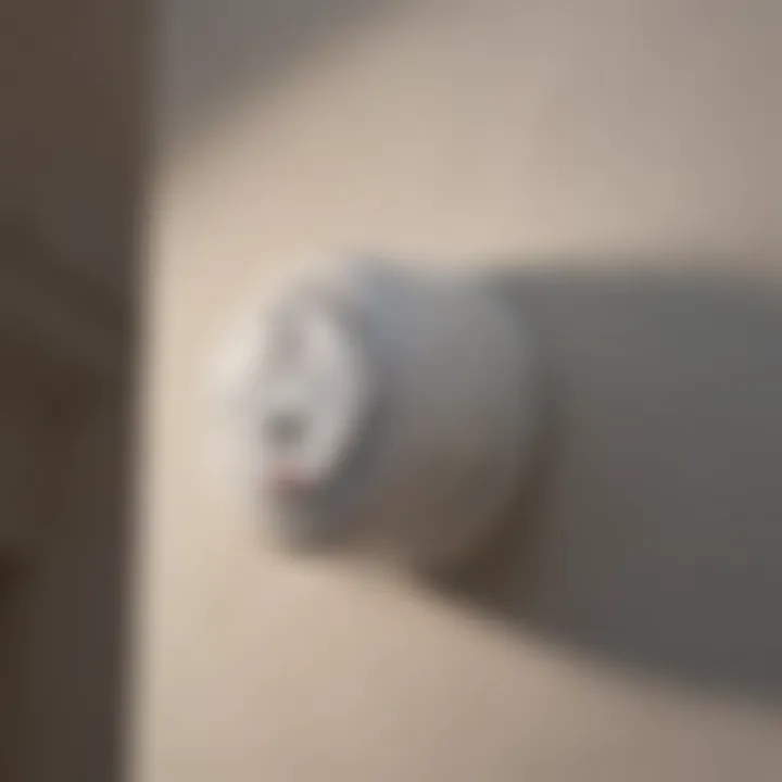 Infographic detailing types of smoke detectors suitable for bedrooms