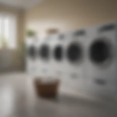 A structured laundry routine being followed with labeled baskets.