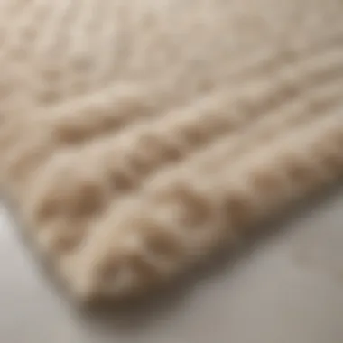 Close-up of a plush beige and white bathroom rug