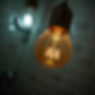 Close-up of daylight bulb characteristics and features