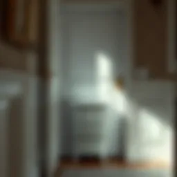 The Significance of a Laundry Hamper Behind the Door Introduction