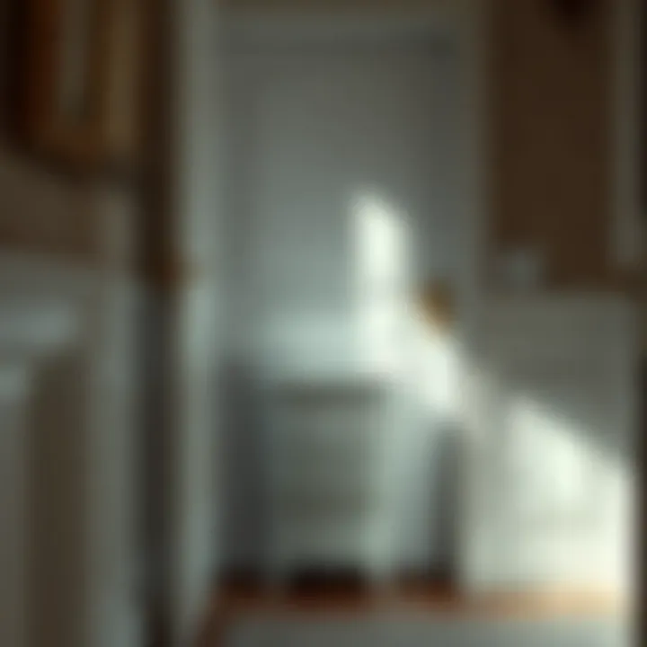 The Significance of a Laundry Hamper Behind the Door Introduction