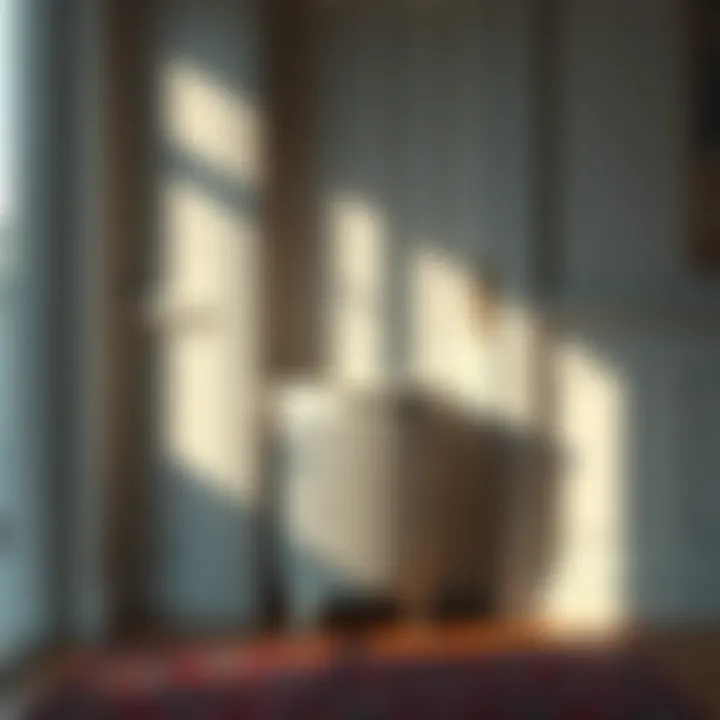 The Significance of a Laundry Hamper Behind the Door Summary