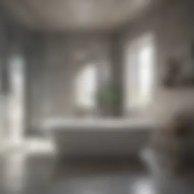 Luxurious Bathroom Aesthetics Luxurious bathroom with painted concrete floor