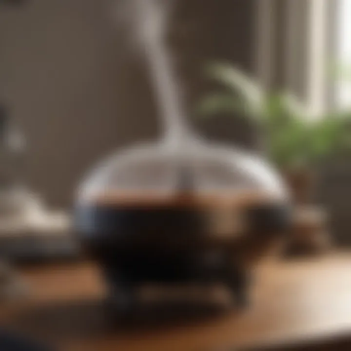 Close-up of maintaining a humidifier