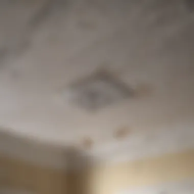 A close-up view of water damage on a ceiling from an upstairs bathroom leak.