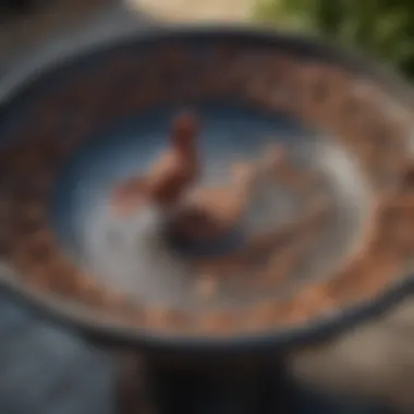 Close-up view of a decorative cast iron bird bath featuring intricate designs