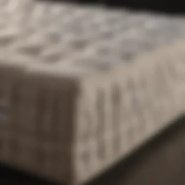 Luxurious double queen mattress showcasing premium materials